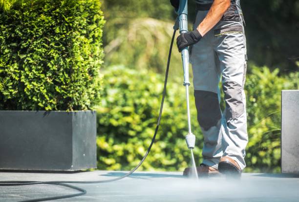 Best House Exterior Washing  in Fridley, MN