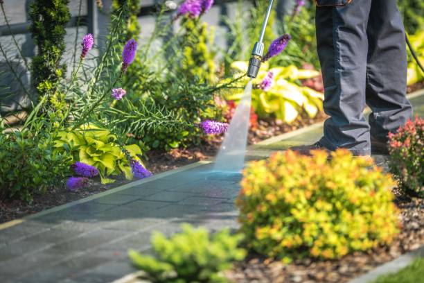 Best Parking Lot and Garage Cleaning  in Fridley, MN